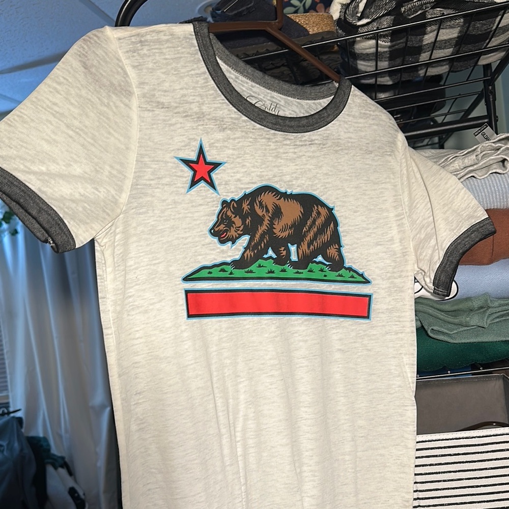 PacSun Gray and White California Republic Tee